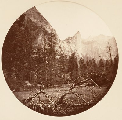 Parco Nazionale di Yosemite, California, ca. 1878 da Carleton Emmons Watkins