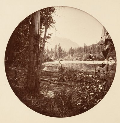 Parco Nazionale di Yosemite, California, ca. 1878 da Carleton Emmons Watkins