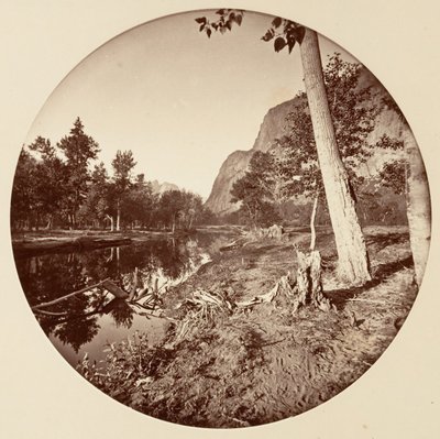 [Parco Nazionale di Yosemite, California], ca. 1878 da Carleton Emmons Watkins