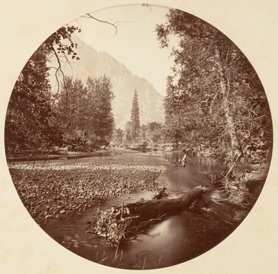 Parco Nazionale di Yosemite, California, ca. 1878 da Carleton Emmons Watkins