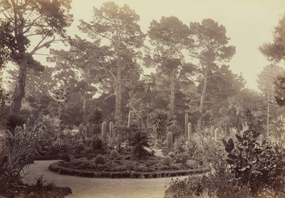  da Carleton Watkins