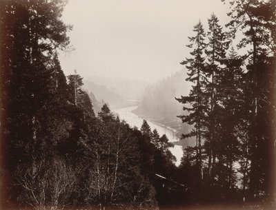 Grande fiume, dalla Rancherie, Mendocino, California da Carleton Watkins