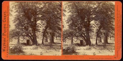Capanna nel Camp Grove, Yosemite Valley, Contea di Mariposa, Cal da Carleton Watkins