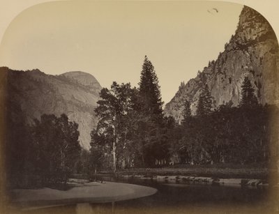 Camp Grove - Yo Semite da Carleton Watkins
