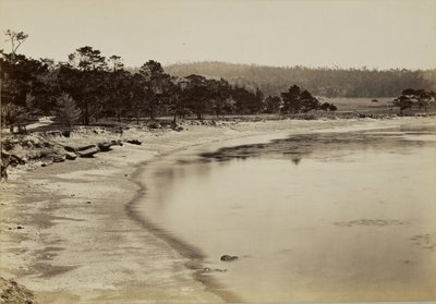 [Vista sulla costa nei pressi di Monterey] da Carleton Watkins