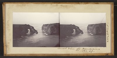 Vista costiera al largo di Mendocino da Carleton Watkins