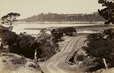 [Vista della costa vicino a Monterey] da Carleton Watkins