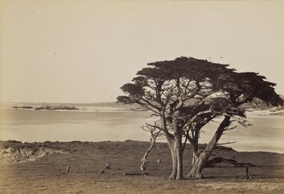  da Carleton Watkins
