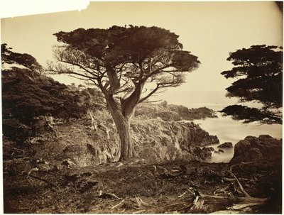  da Carleton Watkins