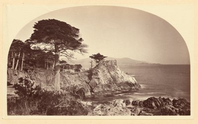  da Carleton Watkins