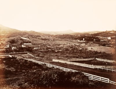 [Montagna Solitaria, dal manicomio degli orfani] da Carleton Watkins