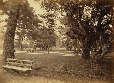 [Monterey, California. Hotel Del Monte, Lawn View.] da Carleton Watkins