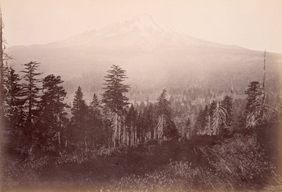  da Carleton Watkins