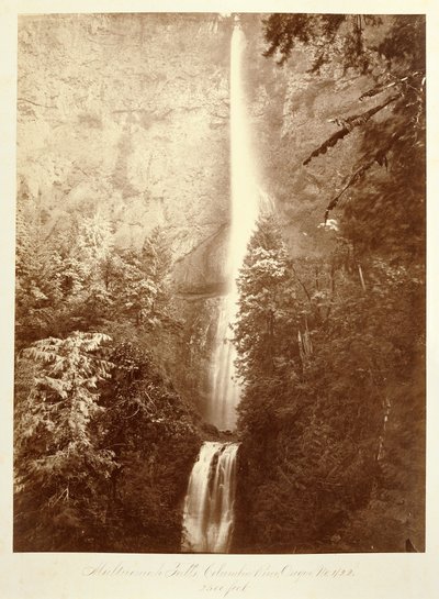  da Carleton Watkins