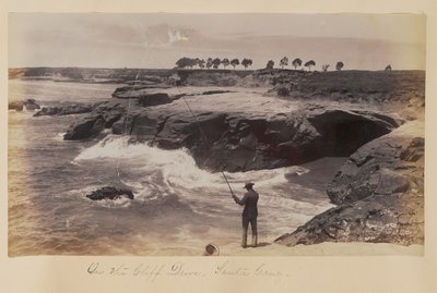  da Carleton Watkins
