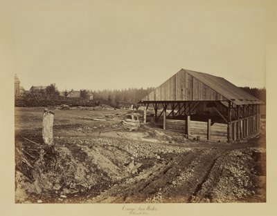 Fabbrica di ferro di Oswego, fiume Willamette da Carleton Watkins