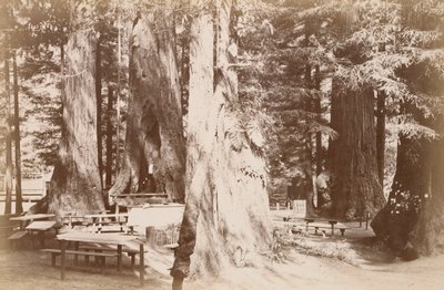  da Carleton Watkins
