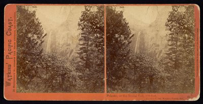 Pohono, o il Velo da Sposa, 900 piedi, Contea di Mariposa, Cal da Carleton Watkins