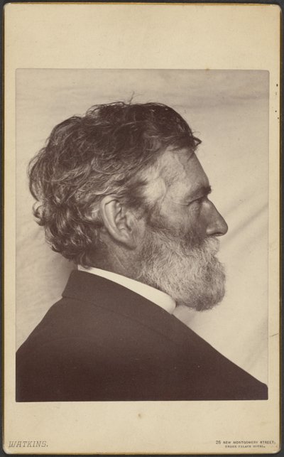 Ritratto di George Davidson da Carleton Watkins