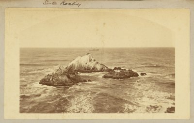 Rocce di foca. da Carleton Watkins