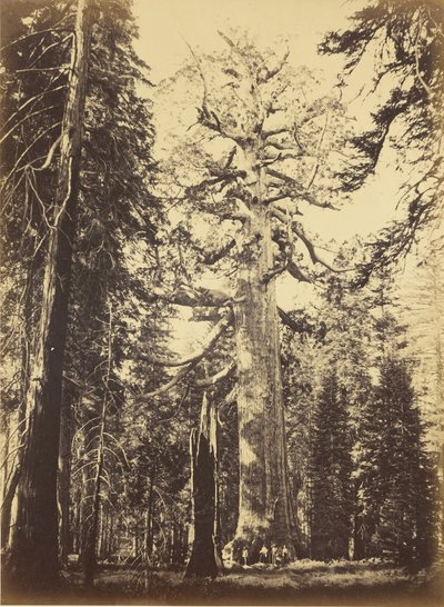  da Carleton Watkins