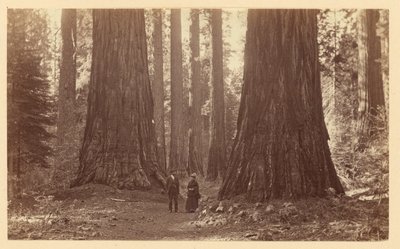  da Carleton Watkins