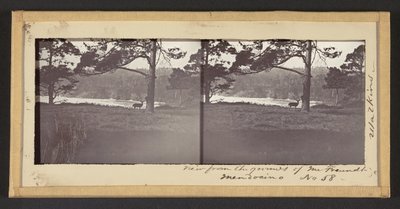 Veduta dai terreni del signor Freundt, Mendocino da Carleton Watkins