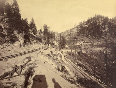 Vista sul lago Tahoe da Carleton Watkins