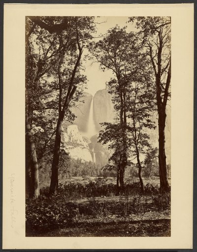  da Carleton Watkins