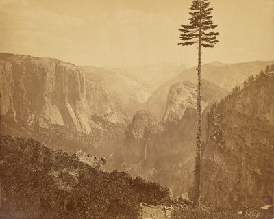 [La Yosemite Valley vista dal sentiero Mariposa] da Carleton Watkins