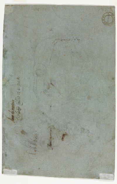 Schizzo della testa di un bambino, c. 1586 da Carletto Caliari