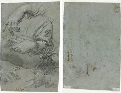 Studi di mani (recto); Schizzo della testa di un bambino (verso) da Carletto Caliari