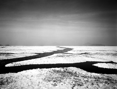 Per sempre al mare, 2012 da Carli Choi