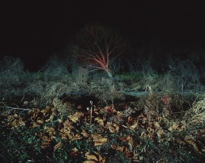 Dipingere al buio, 2011 da Carli Choi