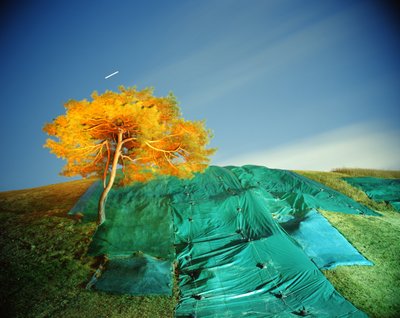 Dipingere al buio, 2011 da Carli Choi