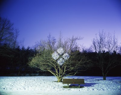 Dipingere al buio, 2012 da Carli Choi