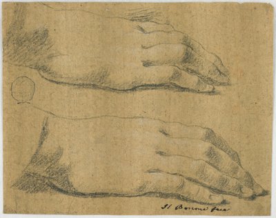Studio: Due mani destre, di una donna da Carlo Bononi