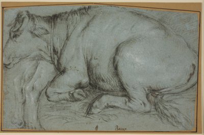 Mucca sdraiata e studio per le zampe posteriori di una mucca in piedi da Carlo Caliari