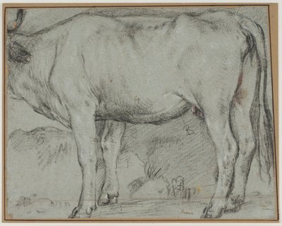 Mucca in piedi (testa mancante) da Carlo Caliari