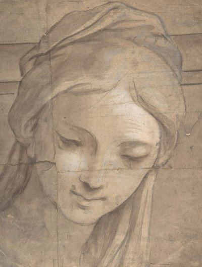 Testa di una giovane donna in vista di tre quarti rivolta a sinistra, 1670-1700 da Carlo Cignani