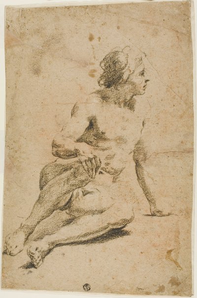 Nudo maschile seduto da Carlo Cignani