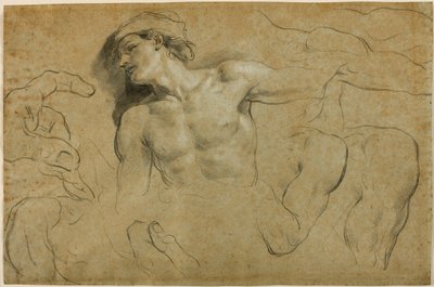 Studi di mani, spalle e una gamba da Carlo Cignani