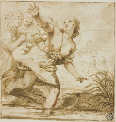 Donna in volo da Carlo Cignani