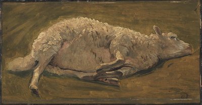 Studio di una pecora sdraiata da Carlo Dalgas