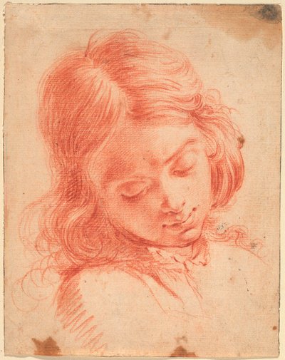 Busto di un ragazzo che guarda in basso da Carlo Dolci
