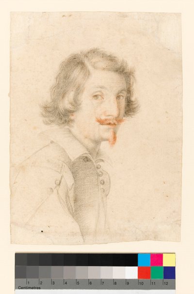 Ritratto dell