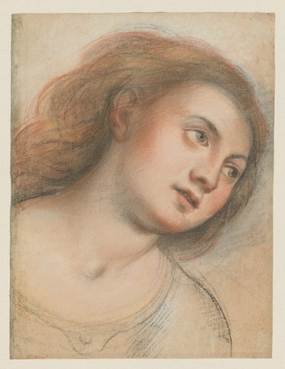 Studio per Testa Femminile (verso); Testa di Cristo (recto) da Carlo Francesco Nuvolone