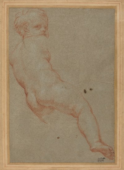 Studio di un ragazzo da Carlo Maratta