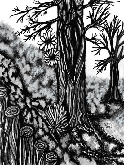 Disegno al carboncino digitale 1 da Carol Sousa Cuello