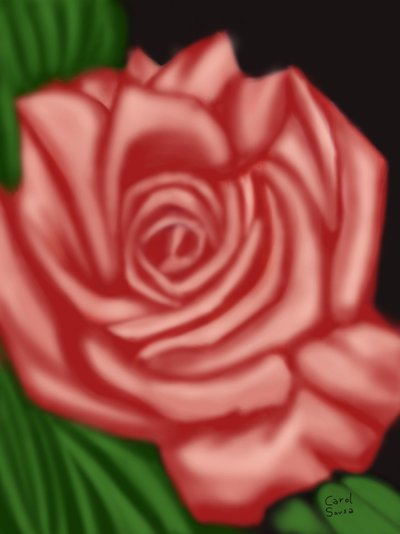 Il ricordo di una rosa da Carol Sousa Cuello